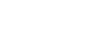 whiteDallas Museum of Art logo