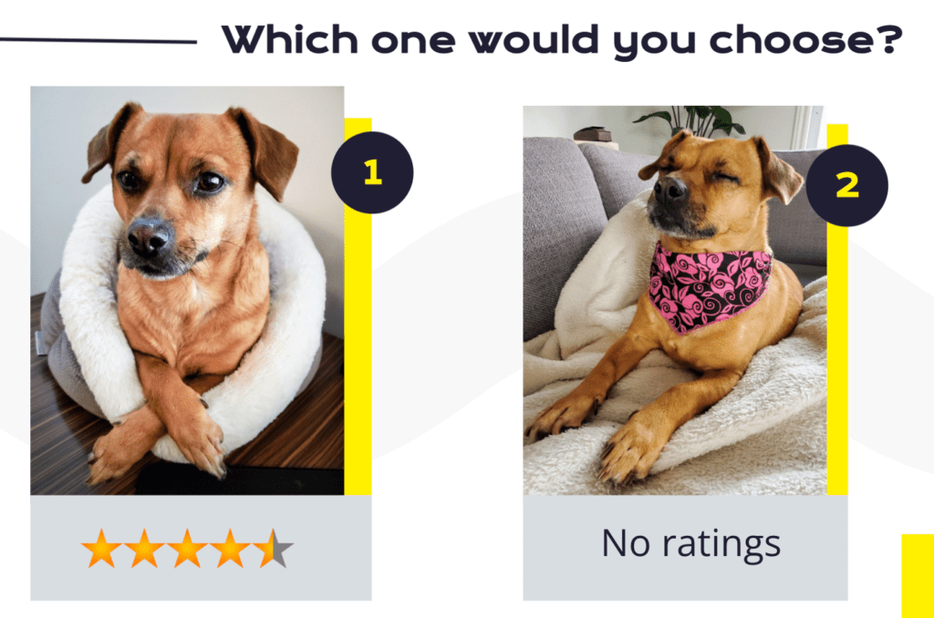 This is an image that reads, "Which one would you choose?" at the top. Beneath that are two different pictures of the same cute dog. On the left picture, which is labeled "one," the dog is sitting handsomely with legs crossed and four and a half stars beneath it. On the right photo, which is labeled, "two," the dog is sitting with eyes closed and "no ratings," is typed beneath it.